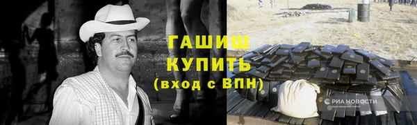 прущие грибы Алзамай