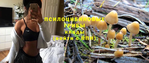 прущие грибы Алзамай
