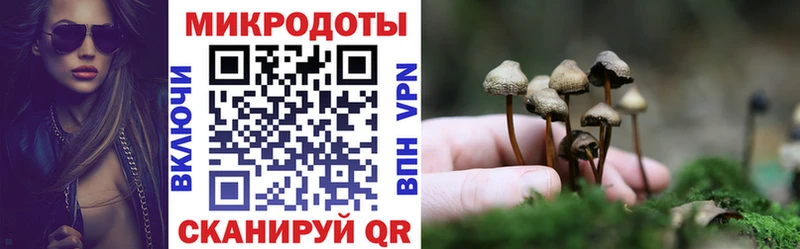 Галлюциногенные грибы Cubensis  Ипатово 
